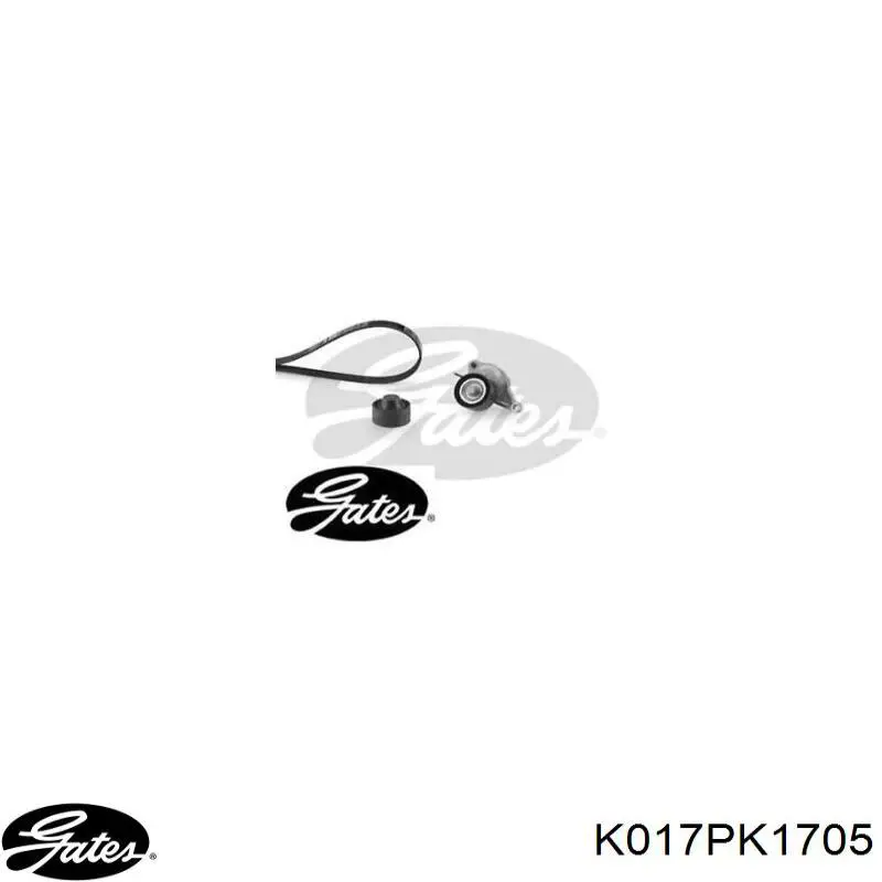 Correa de transmisión, juego Dayco KPV1143 precio, desde 93,34 EUR