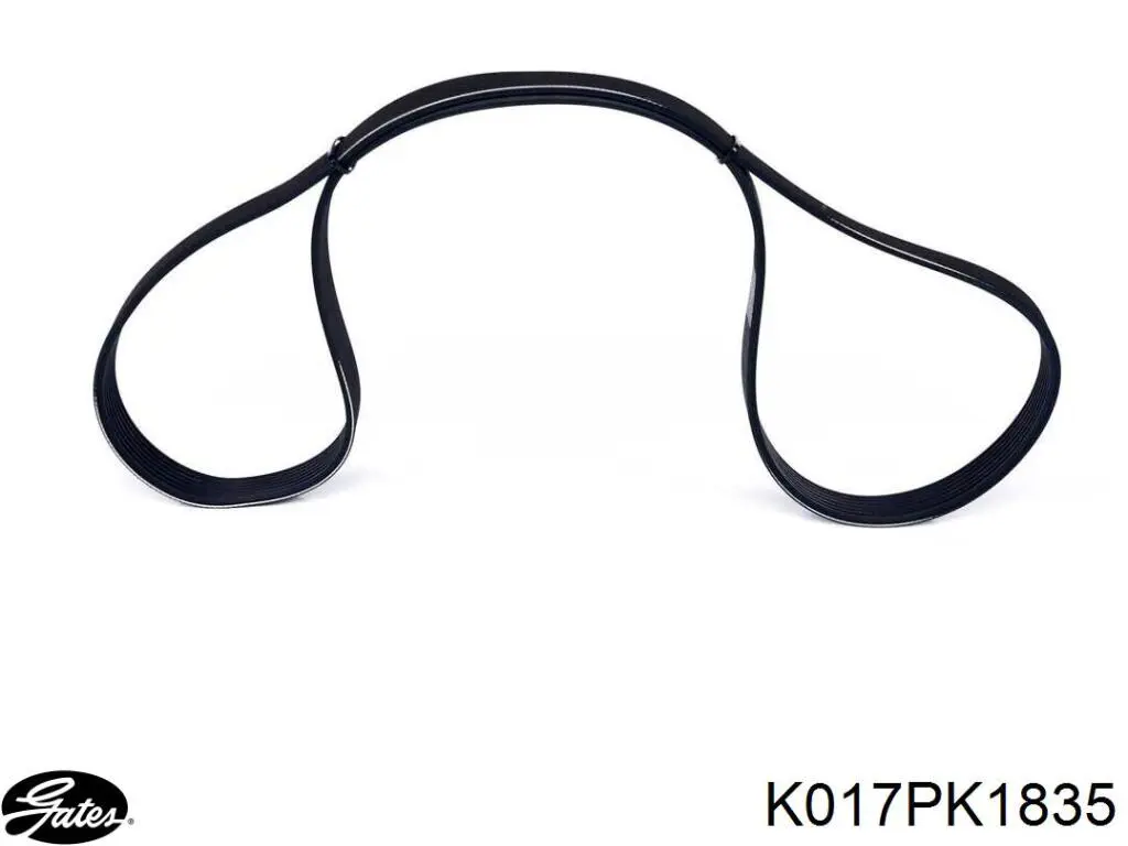 Correa de transmisión, juego Renault (RVI) 8660004978 precio, desde 112,08 EUR