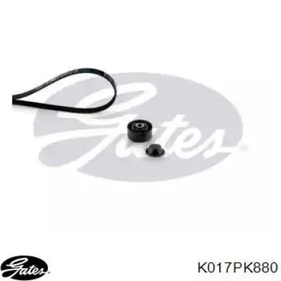 Correa de transmisión, juego Gates K017PK880 precio, desde 57,13 EUR