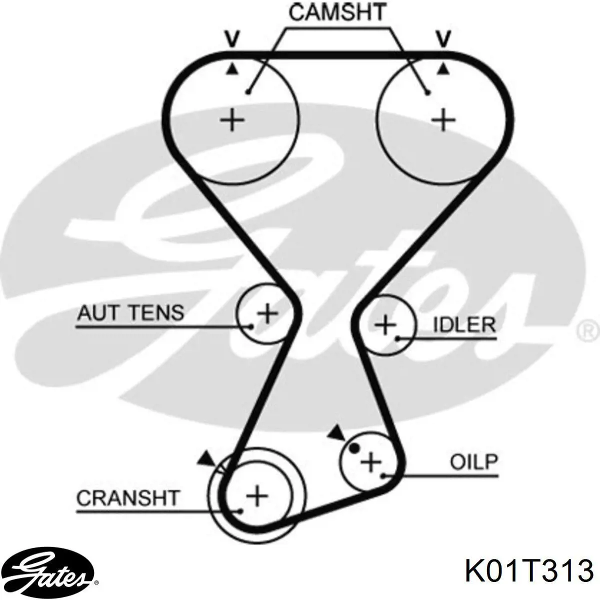 Kit de distribución K01T313 Gates