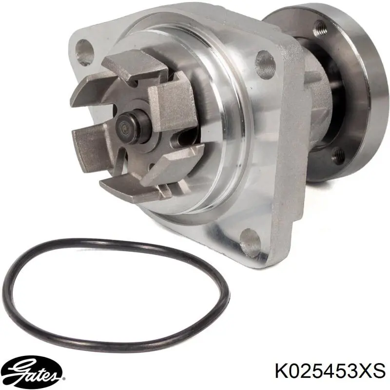 Comprar K025453XS Gates Kit de correa de distribución