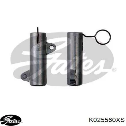 CT1089K2 Continental/Siemens Kit correa de distribución