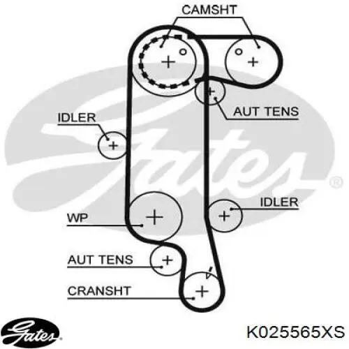 Kit de distribución 530008910 LUK