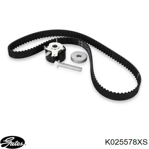 Kit de distribución 8671019547 Renault (RVI)