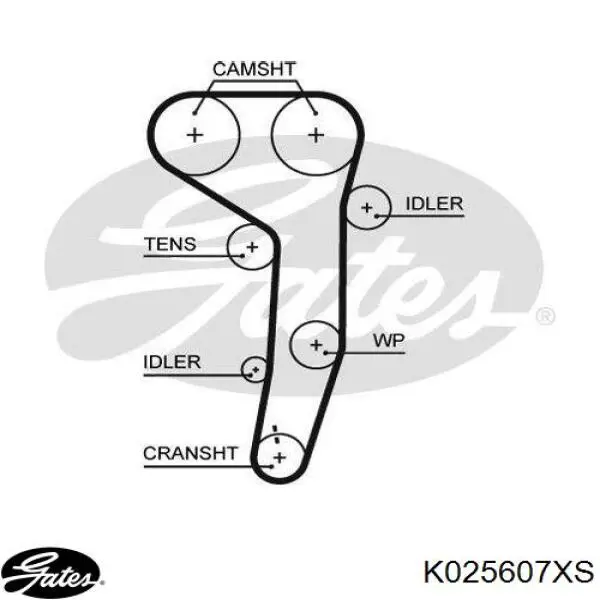 Juego de correas dentadas VAG 03G198119G precio, desde 140,62 EUR