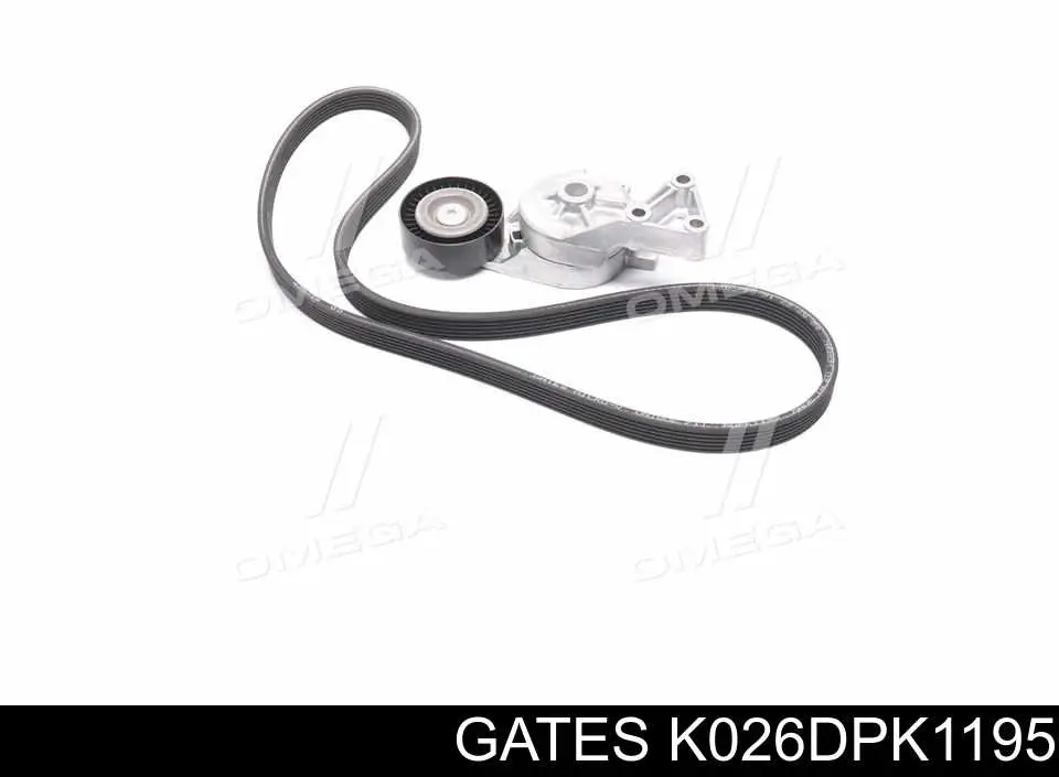 Correa de transmisión, juego Gates K026DPK1195 precio, desde 61,14 EUR