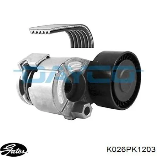 Correa de transmisión, juego Renault (RVI) 7711946460 precio, desde 53,78 EUR