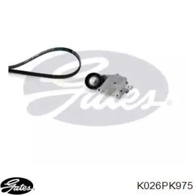 Correa de transmisión, juego Gates K026PK975 precio, desde 50,74 EUR