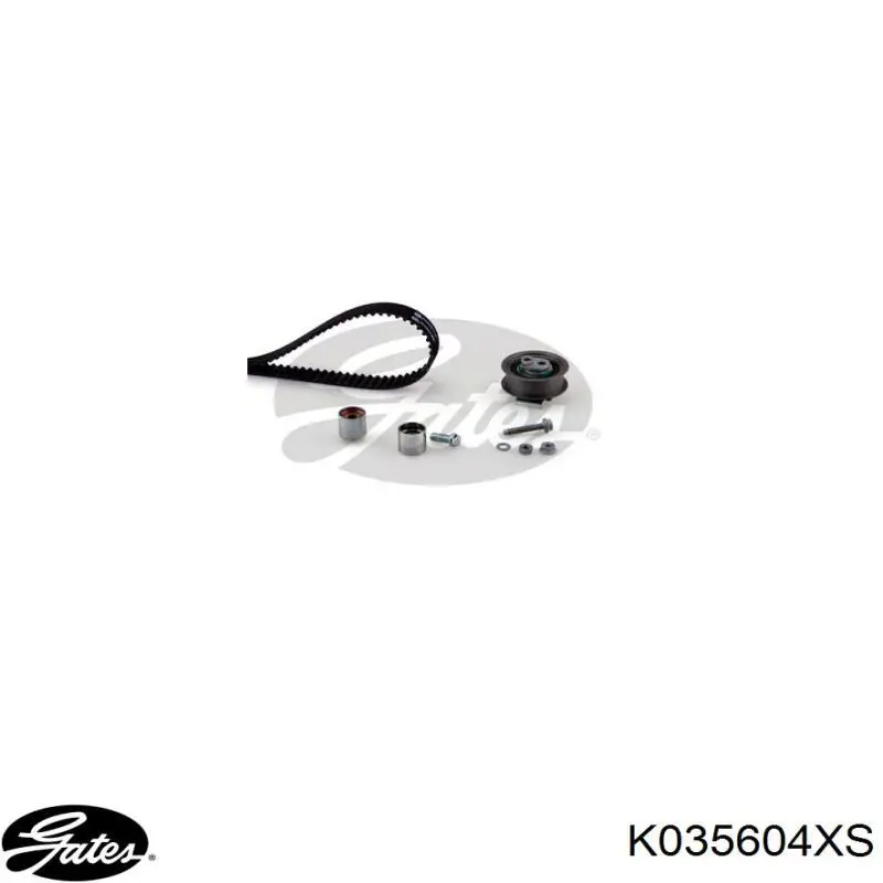 06F198119B VAG kit correa de distribución