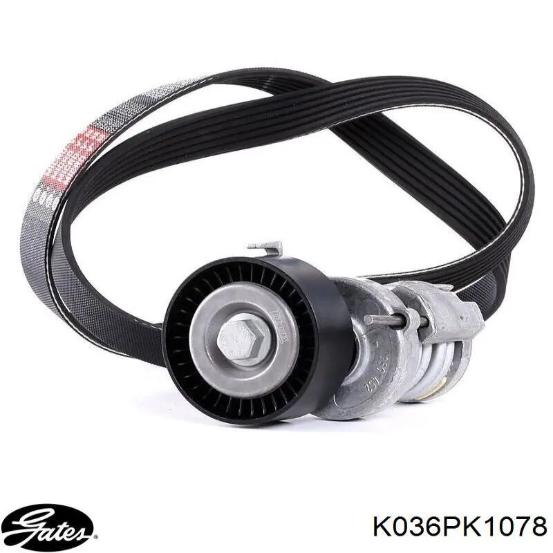 Comprar K036PK1078 Gates Correa de transmisión