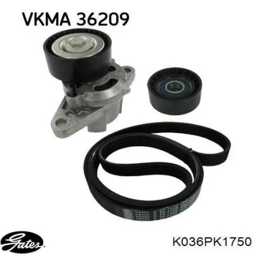 Correa de transmisión, completo Continental/Siemens 6PK1750K2 precio, desde 88,72 EUR