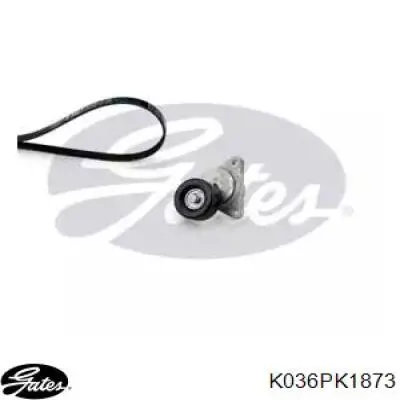 Comprar K036PK1873 Gates Correa de transmisión