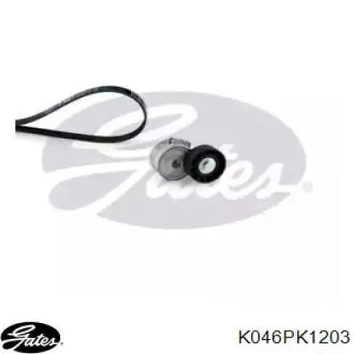 Correa de transmisión, juego Ford 2110264 precio, desde 49,11 EUR