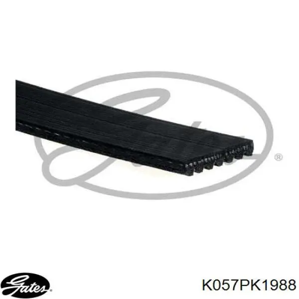 Correa de transmisión, juego Suzuki Grand Vitara SUV (JB) (2005 - 2026) precio, desde 89,91 EUR