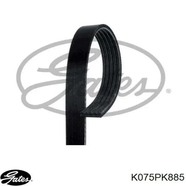 Correa de transmisión para Toyota Corolla E12U