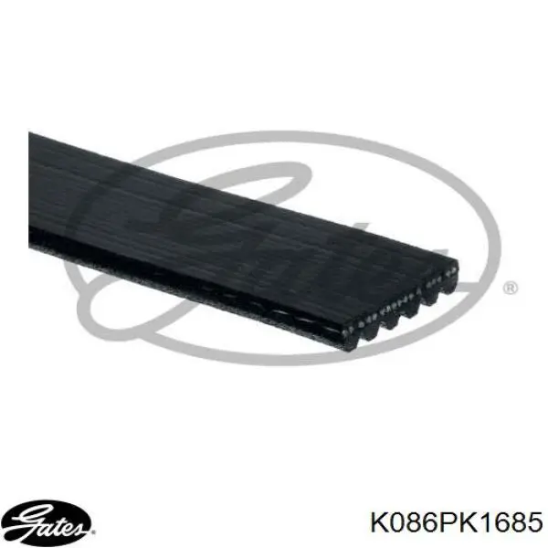 K086PK1685 Gates correa trapezoidal