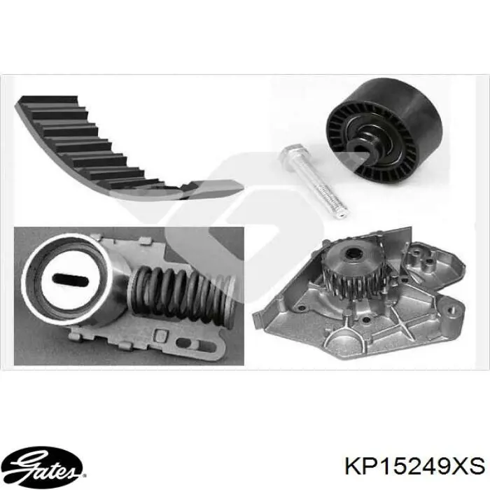 Kit de distribución KTBWP1190 Dayco