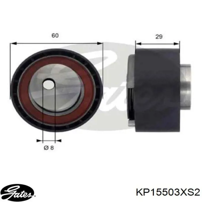 KP15503XS2 Gates Kit correa de distribución