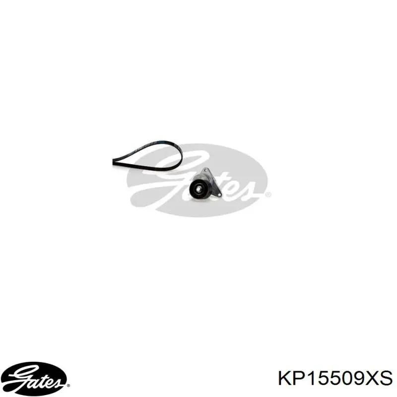 Kit de distribución KP15509XS Gates