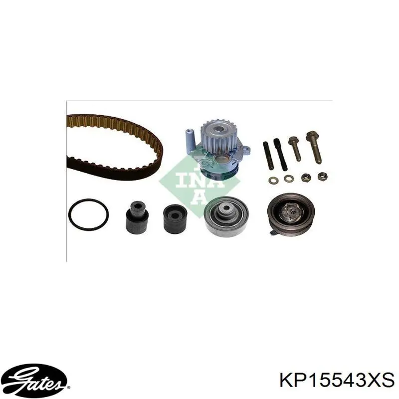 Comprar 8MP376802881 HELLA Kit de correa de distribución