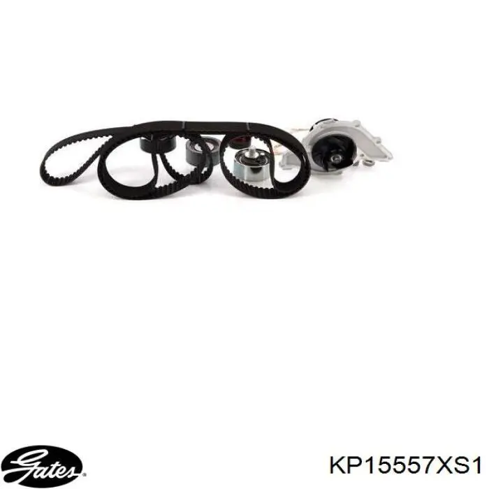 Juego de correas dentadas Dolz KD107 precio, desde 221,35 EUR