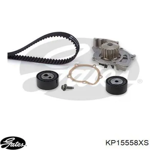 KP15558XS Gates kit correa de distribución