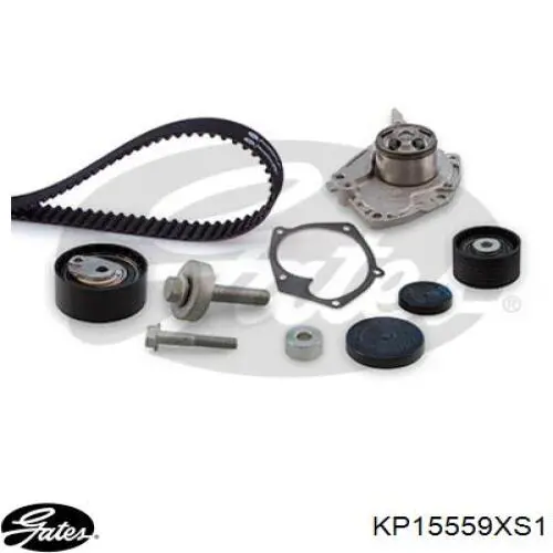Kit distribución Gates KP15559XS1