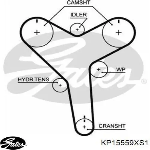 Kit de distribución KP15559XS1 Gates