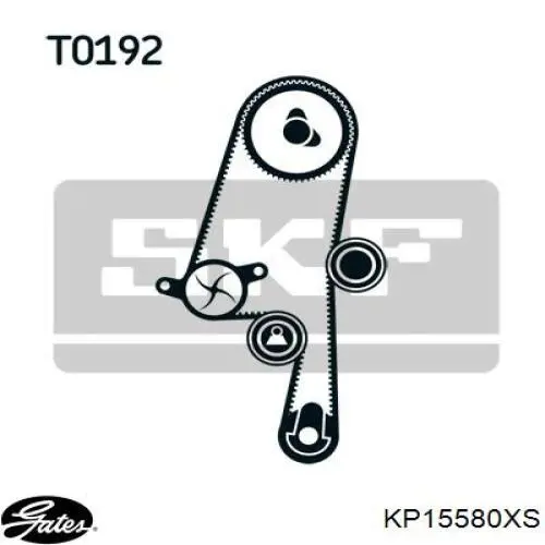 KD111 Dolz kit correa de distribución