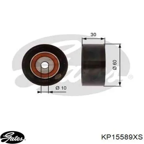 KD192 Dolz Kit correa de distribución