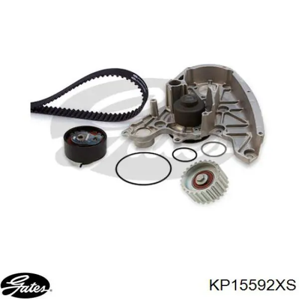 Comprar KP15592XS Gates Kit de correa de distribución