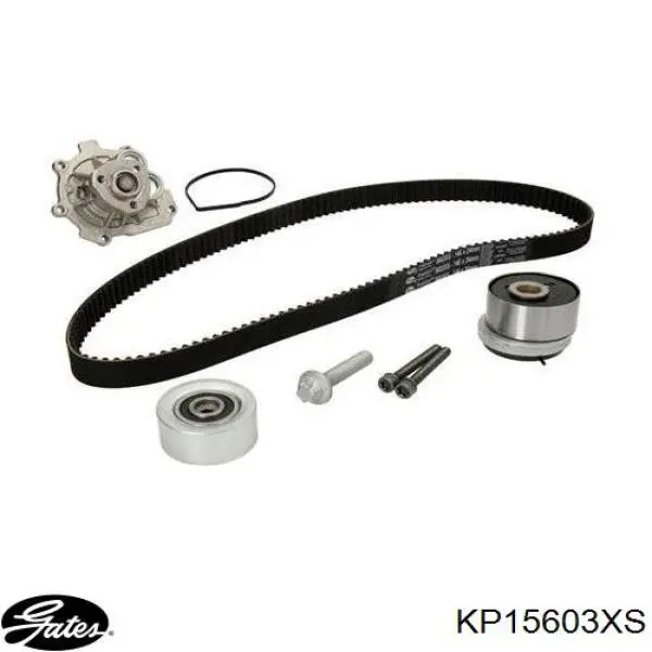 KP15603XS Gates kit de distribución