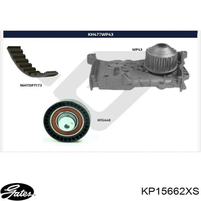 KP15662XS Gates Kit correa de distribución