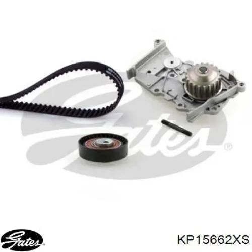 Comprar KP15662XS Gates Kit de correa de distribución