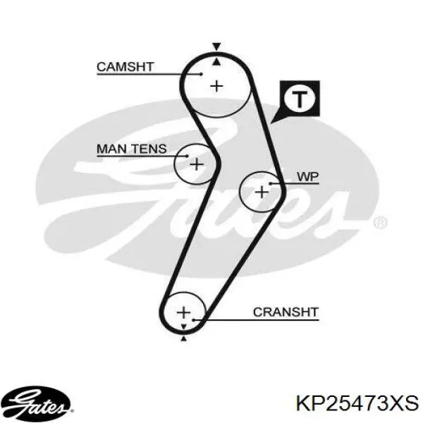 Kit de distribución CT988WP1 Continental/Siemens