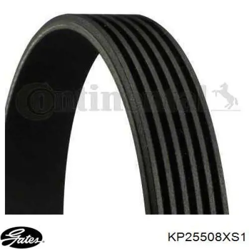 KP25508XS1 Gates Kit correa de distribución