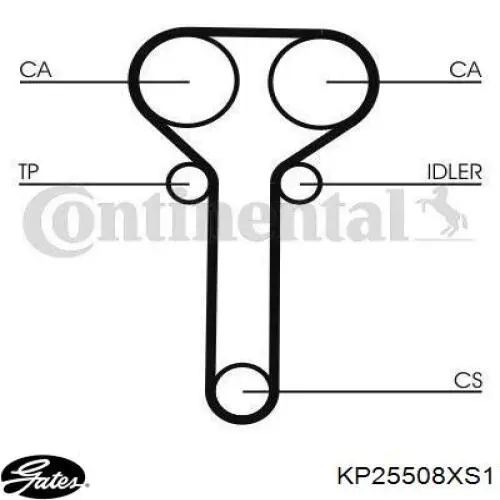 Juego de correas dentadas Gates KP25508XS1 precio, desde 145,56 EUR