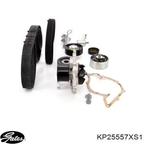 KP25557XS1 Gates Kit correa de distribución