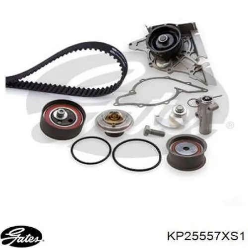 Comprar KP25557XS1 Gates Kit de correa de distribución