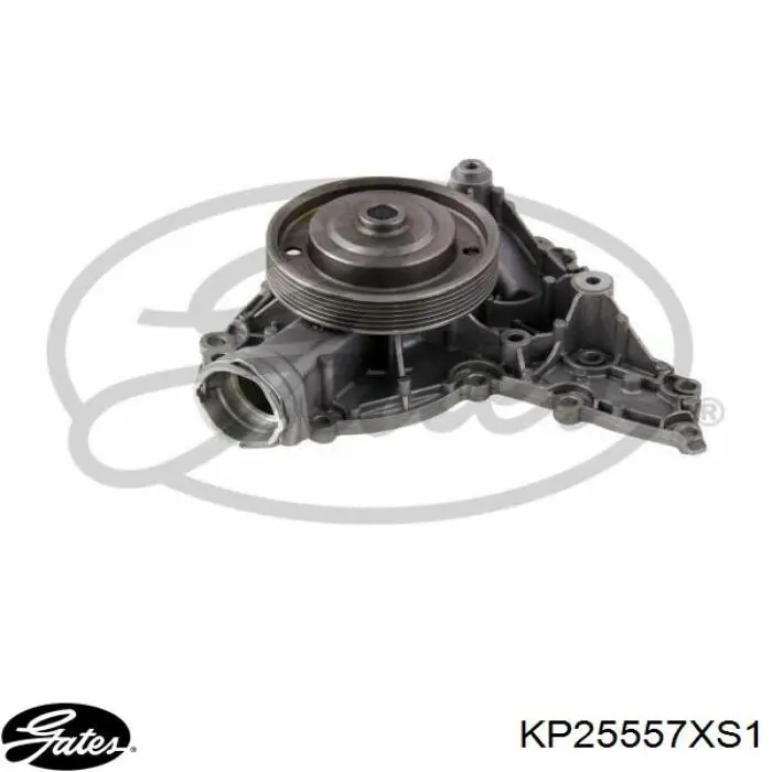 Kit de distribución KP25557XS1 Gates