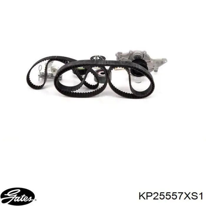 Kit de distribución KP25557XS1 Gates