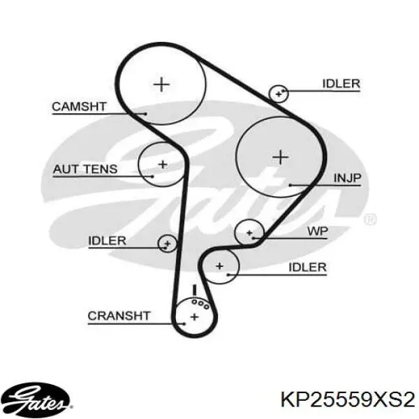 KP875-1 Graf kit correa de distribución