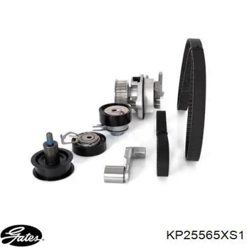 Juego de correas dentadas Dolz KD101 precio, desde 130,49 EUR
