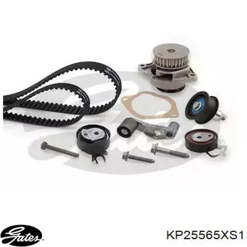 Comprar KD101 Dolz Kit de correa de distribución