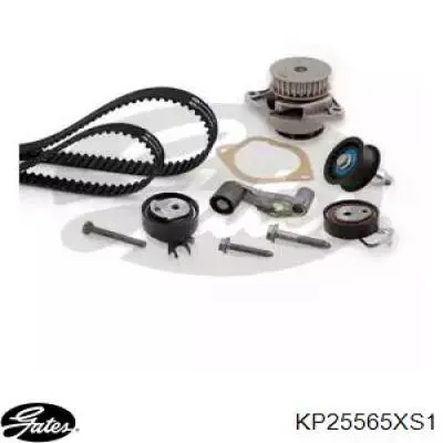 KP25565XS1 Gates Kit correa de distribución