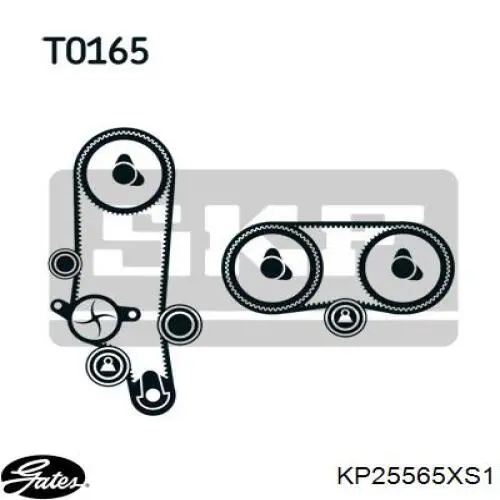 Kit de distribución KD101 Dolz
