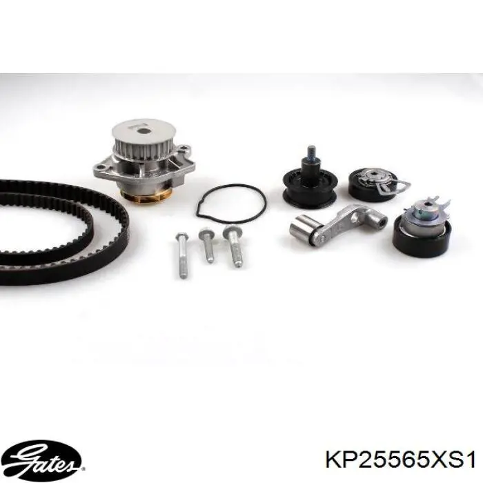 KD101 Dolz Kit correa de distribución
