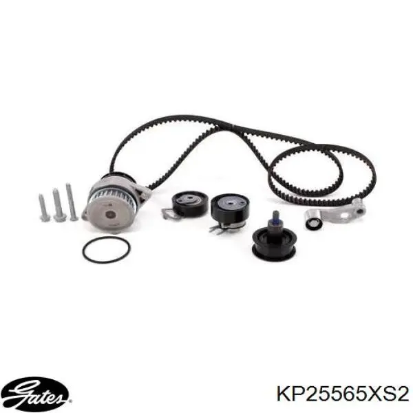 KP25565XS2 Gates Kit correa de distribución
