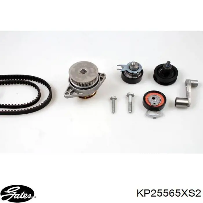 Kit de distribución KP25565XS2 Gates