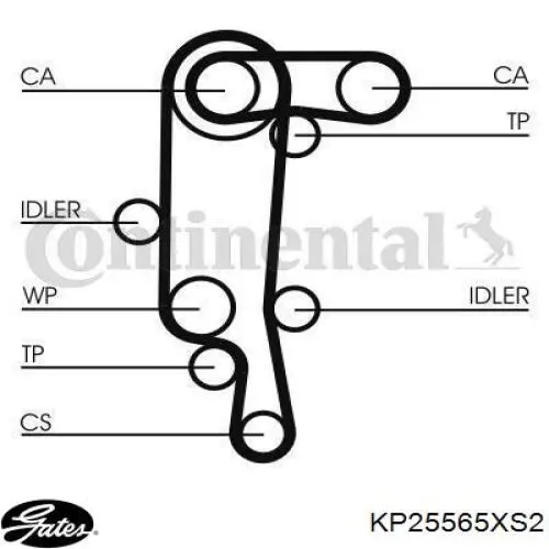 Kit distribución Gates KP25565XS2